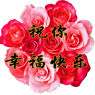 1605250217014036953.gif timg (8).gif