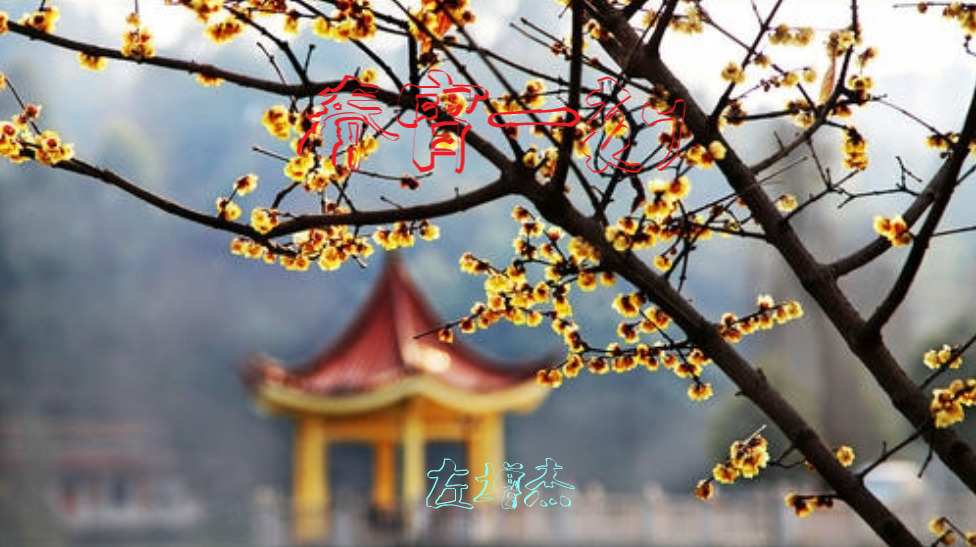 1605251784069012000.png 1605251784069012000.png