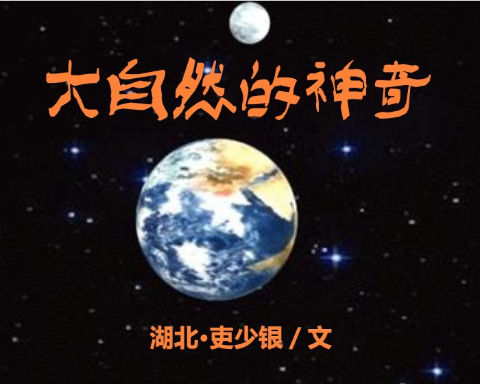 1606638367093063323.jpg 澶\u446嚜鐒剁殑绁炲.jpg