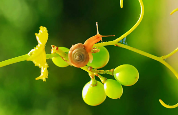 210302560.png image.png