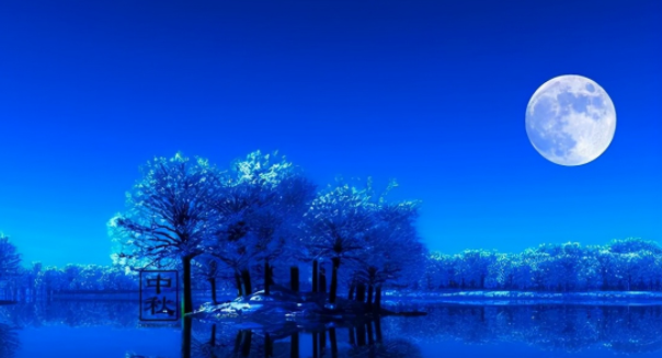 002908730.png image.png