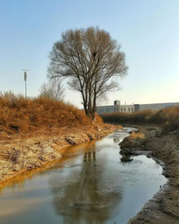 213507920.png image.png