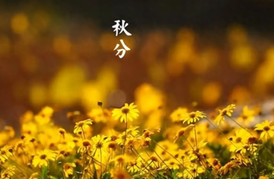 065108313.png image.png