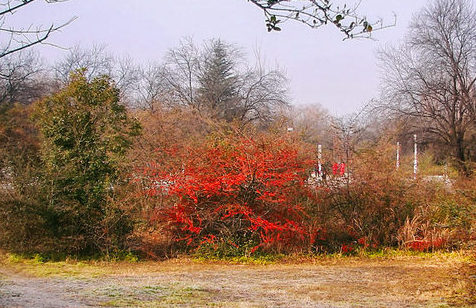 063309624.png image.png