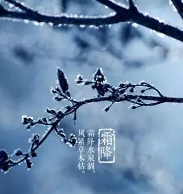 070206277.png image.png