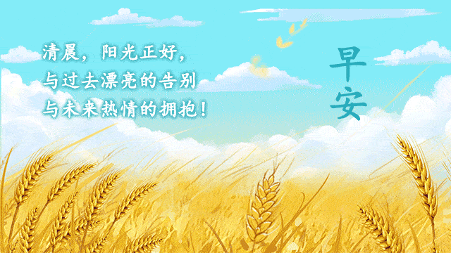 a655f73aa9a445f49f822200f4c40608.webp