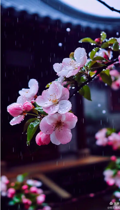 055707208.png image.png