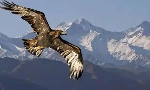 172701500.png image.png