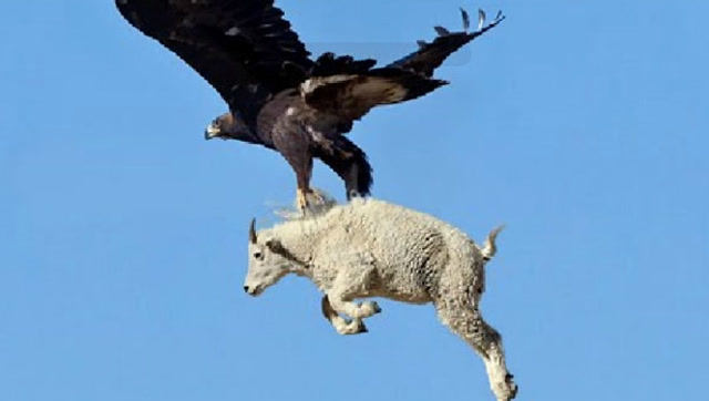 173003043.png image.png