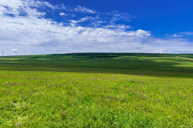 131005822.png image.png