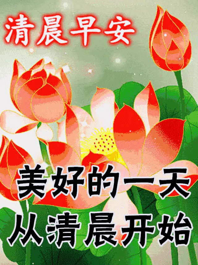09fb0a57e65d46f4a0ccbd528d75830c.webp
