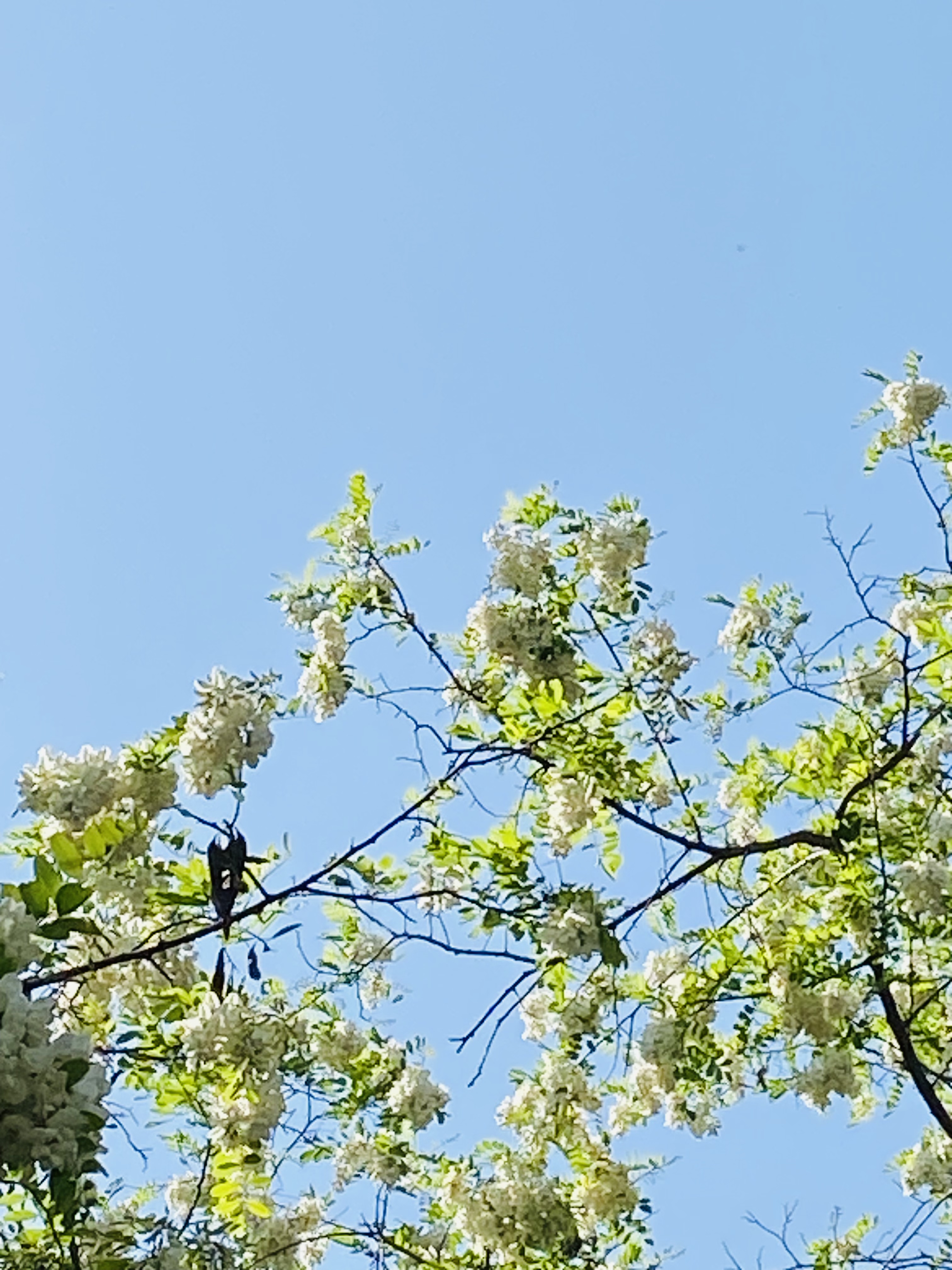 ebb7e07e308788aac6c56b56b01da65c.jpg