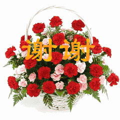 1610240682548034683.gif d5a05695af9a02b3c87ef66e473199d1.gif