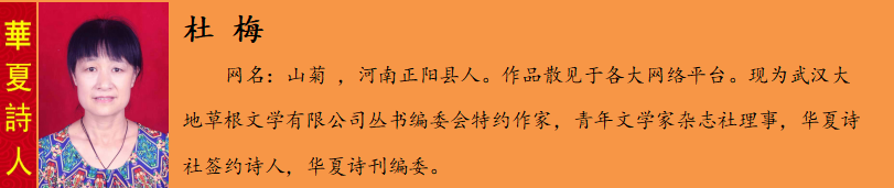 鏉? 姊?(灞辫強).png