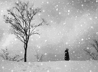 u_3241224850_104923512&fm_26&gp_0.