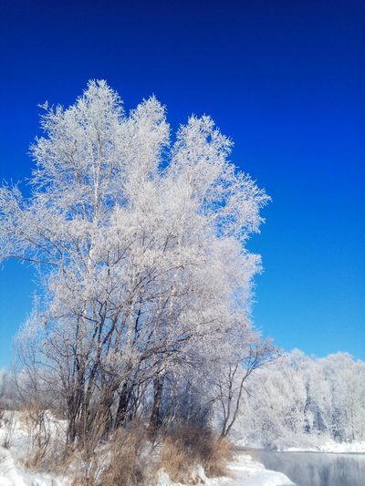 1612515125468019023.jpg t0110a7755b0b6d76ea.jpg