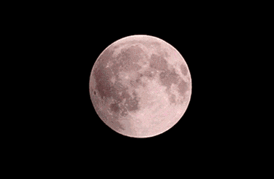 5b0988e595225.cdn.sohucs-8.