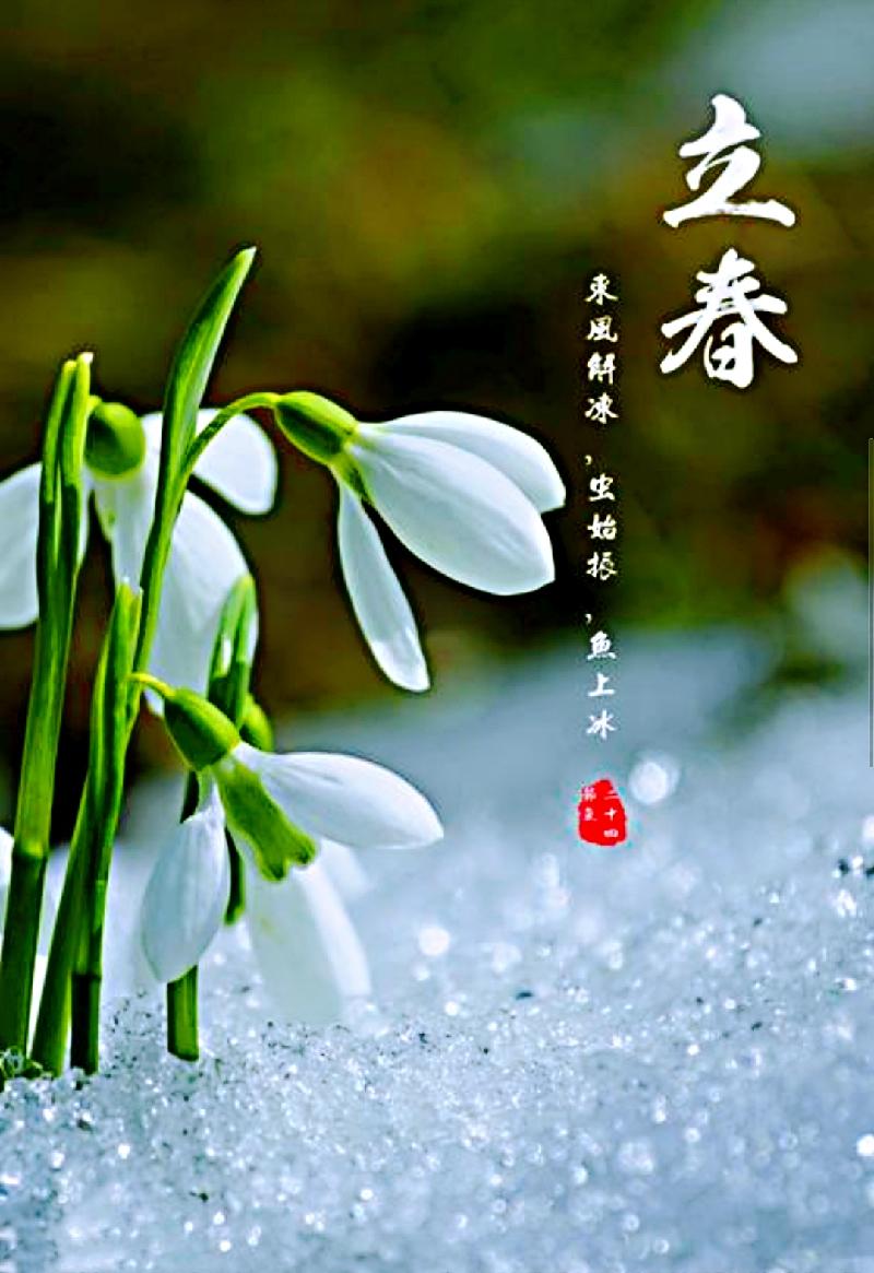 IMG_20210207_063441_mr1612651082166.