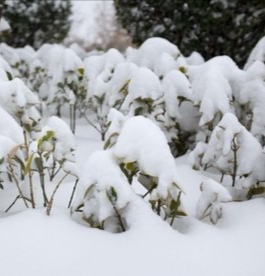 IMG_20210225_002011.
