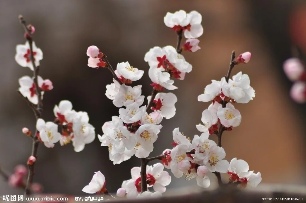 t01e5508044fee5f38c.