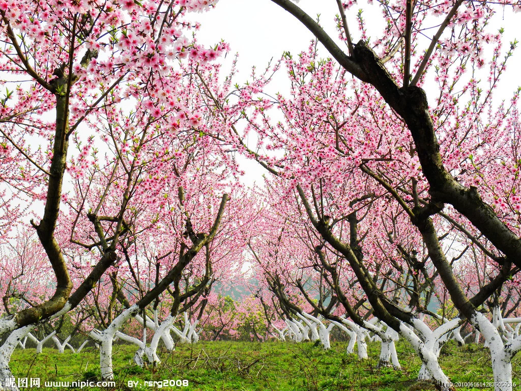 t01064a29756dcf7008.