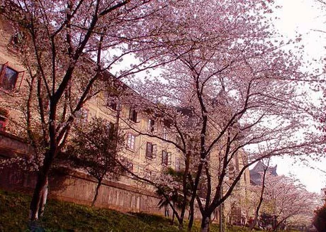 t017f106d7d894479ef.