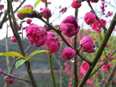 t01dd3a62e6c6f2cee5.