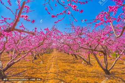 t01b9608e0638d988a2.