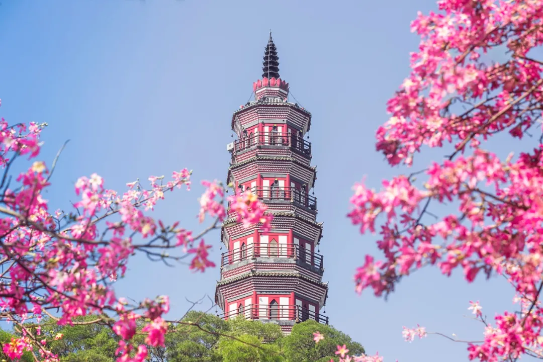 mmexporte1fe1cdf1e20f5808ac15089c25f45b9.