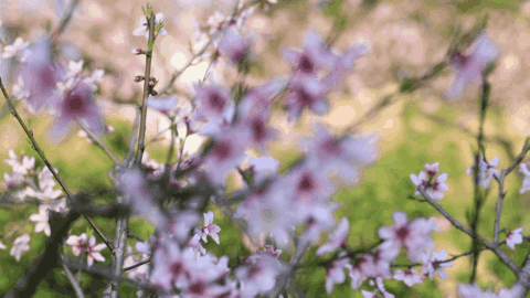 t018fe51cd06ea19c9a.