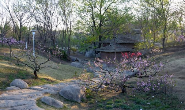 t01c3d1200f34d4e3e7.