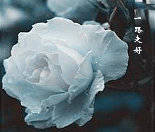 t010ec396bf4983b36f.