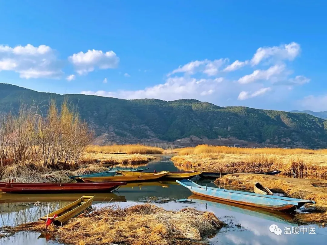 mmexport556d3ed0cd570e7558af645f678d1a69.