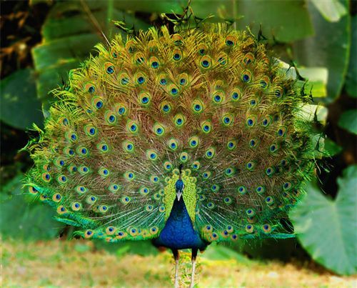 1617932155039099441.jpg e8b7a3dda144ad3461b03ad8d1a20cf430ad85f2.jpg