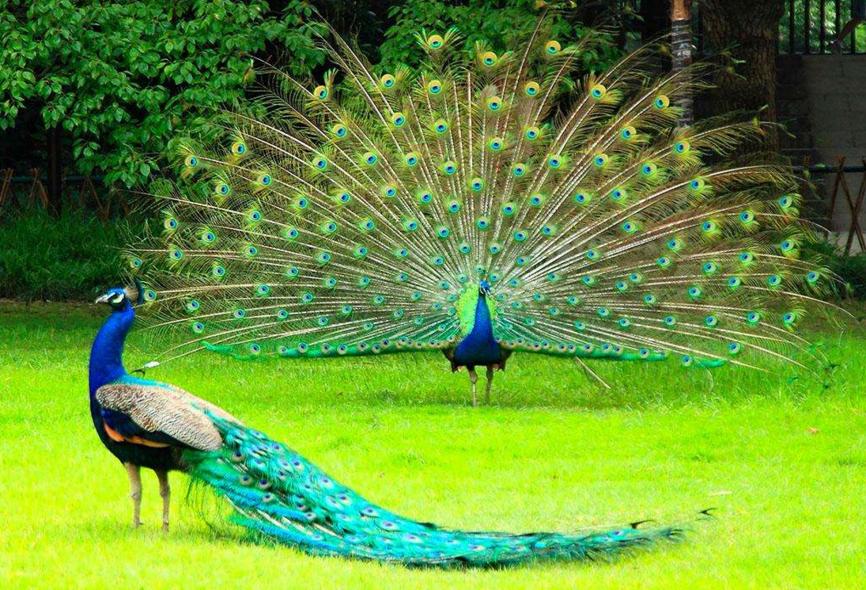 1617932193027099963.jpg src=http_%2F%2F5b0988e595225.cdn.sohucs.com%2Fimages%2F20181025%2F21ac3a7c83564aefb10ad2ba76010c1a.png&refer=http_%2F%2F5b0988e595225.cdn.sohucs.jpg