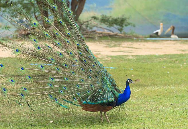 1617932393597085959.jpg src=http_%2F%2Fdpic.tiankong.com%2Fxr%2Fxa%2FQJ8180038334.jpg_x-oss-process=style%2Fshow&refer=http_%2F%2Fdpic.tiankong.jpg