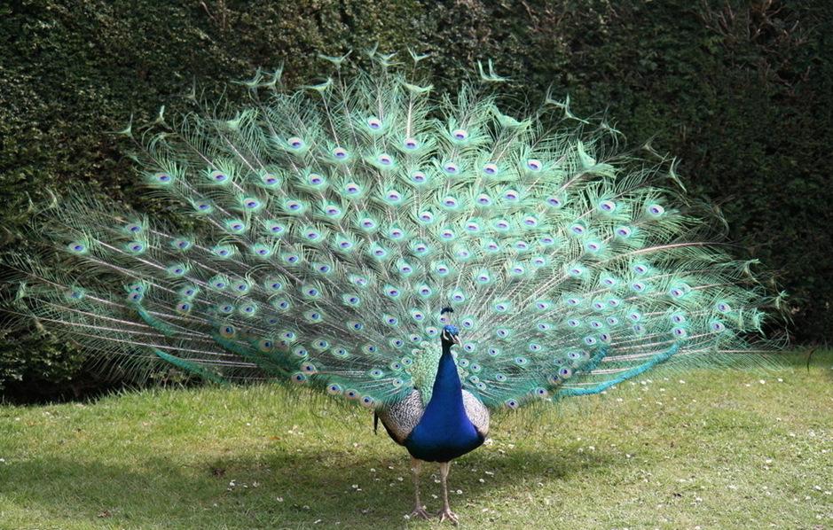 1617932446968075459.jpg src=http_%2F%2Fi05.c.aliimg.com%2Fimg%2Fibank%2F2014%2F508%2F270%2F1645072805_1052168413.jpg&refer=http_%2F%2Fi05.c.aliimg.jpg