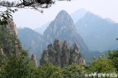 t01788d574a0a1e77b0.