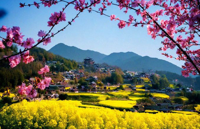 212402276.png image.png