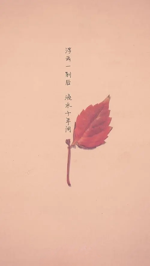 u=1998872633,3819728394&fm=253&fmt=auto&app=138&f=JPEG_美化
