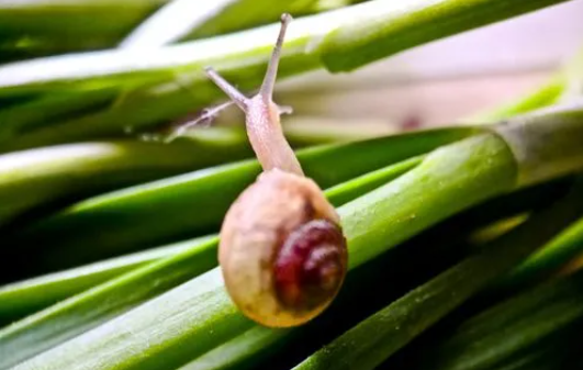 053206754.png image.png