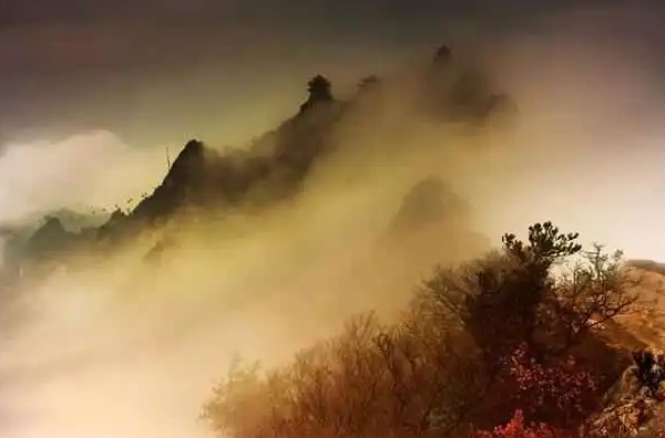 212103508.png image.png