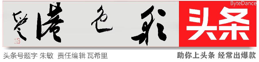 彩色港LOGO