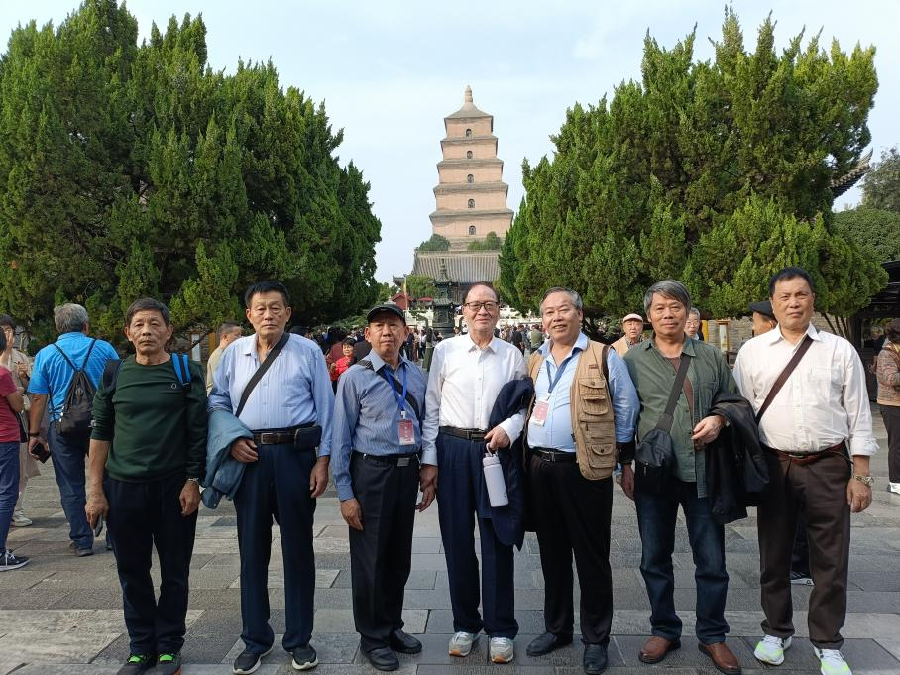 图片1