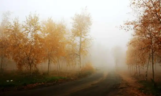 064400011.png image.png