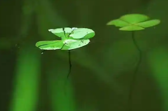 221608782.png image.png