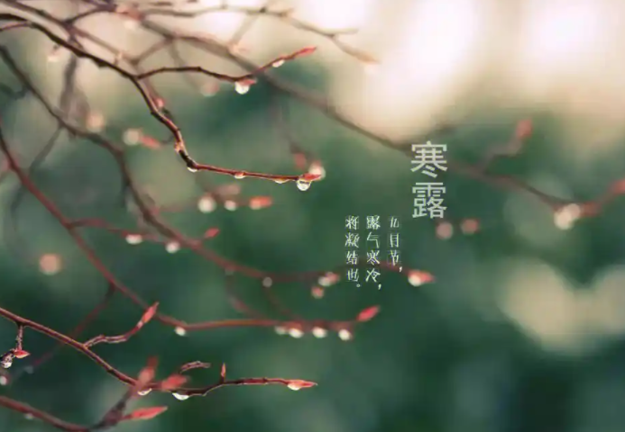 210907351.png image.png