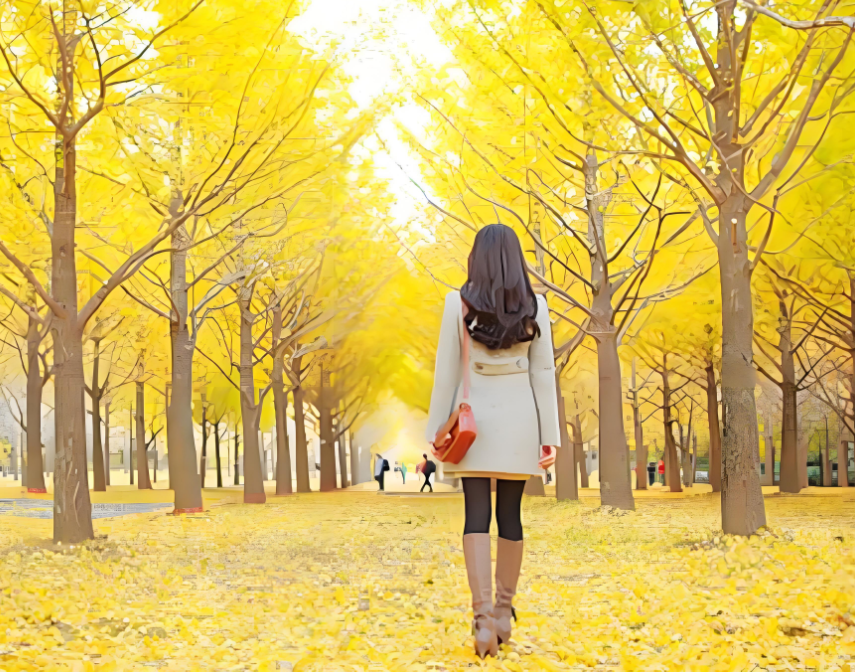 070504157.png image.png