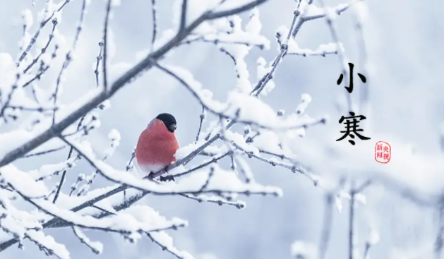 065103132.png image.png
