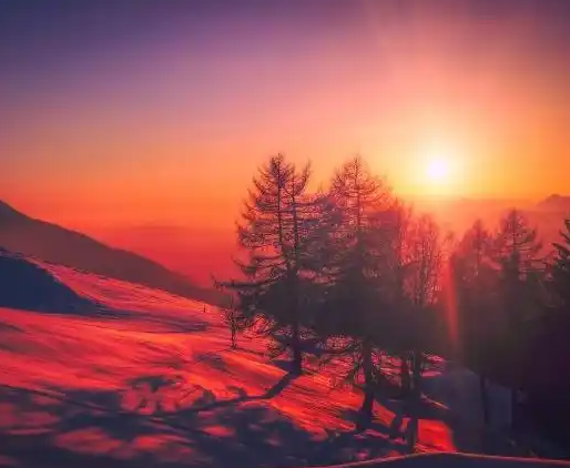 090105216.png image.png